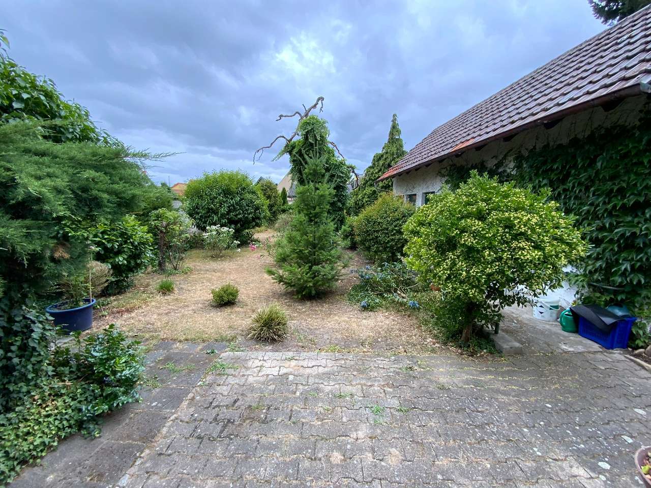 Ausblick von der Küche in den Ausblick von der Küche in den